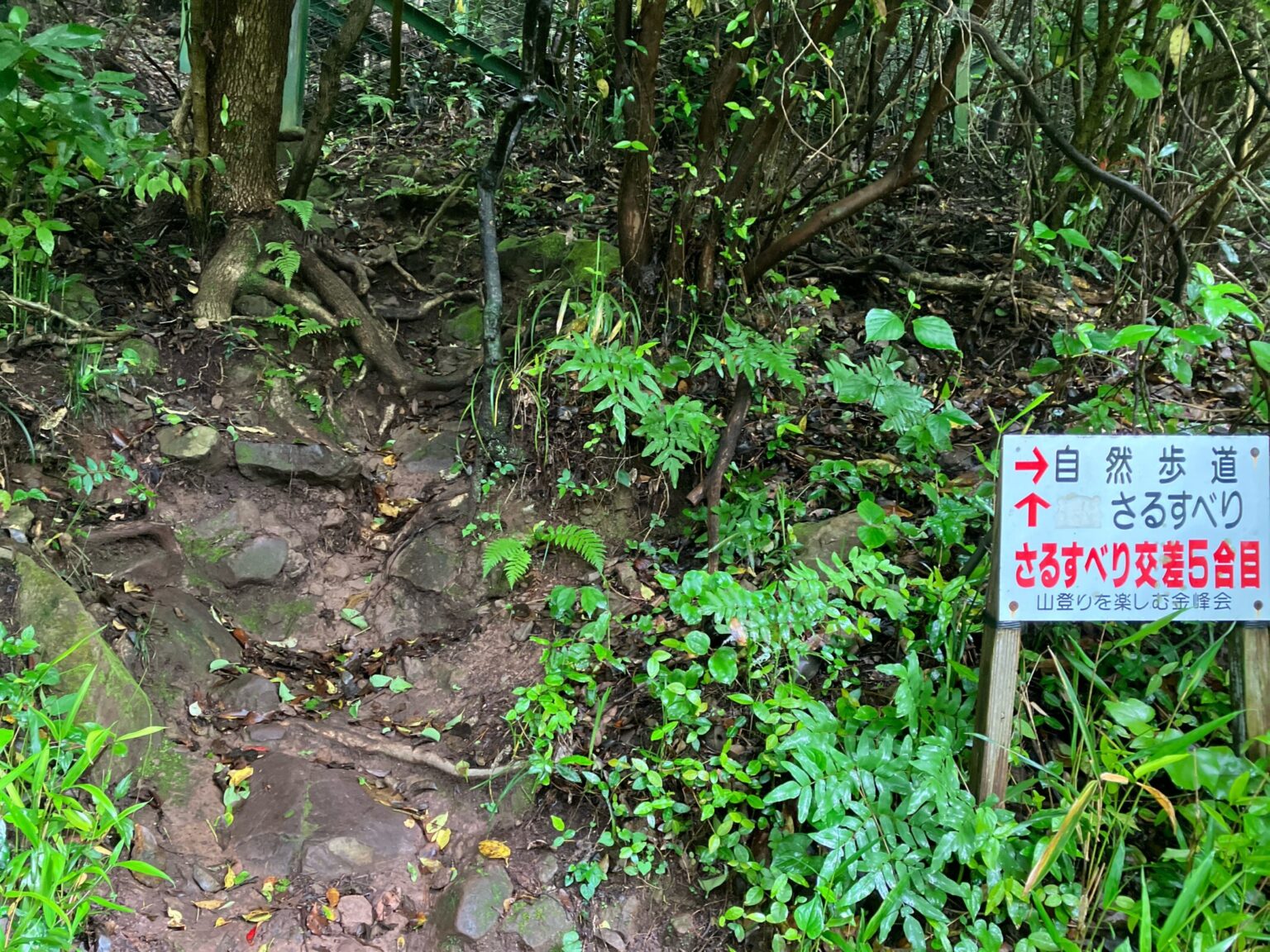 金峰山ハイキング|自然歩道コースの歩き方・駐車場・ヤマガラ体験まとめ【熊本市】 | 九州低山ハイキング
