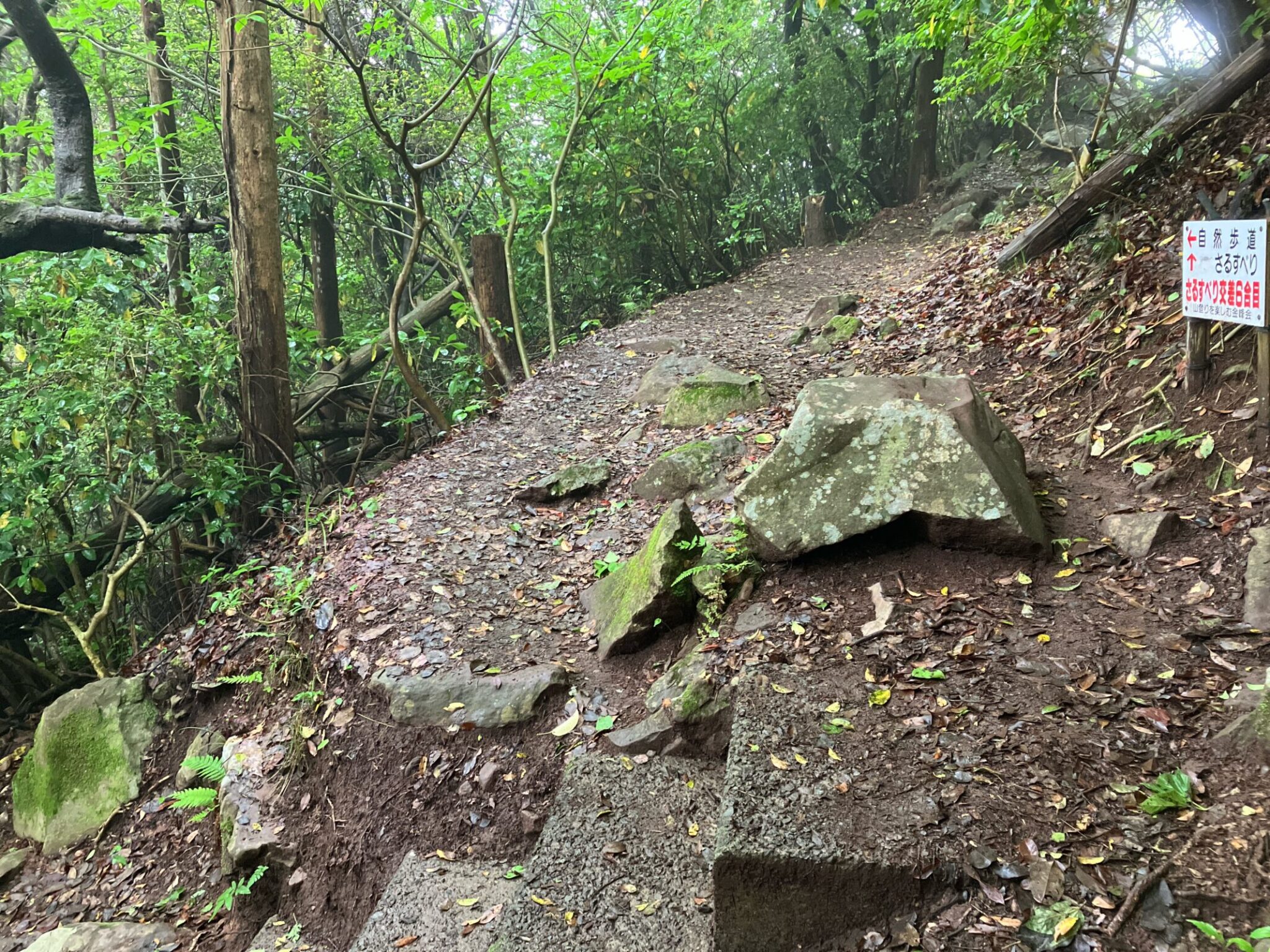金峰山ハイキング|自然歩道コースの歩き方・駐車場・ヤマガラ体験まとめ【熊本市】 | 九州低山ハイキング
