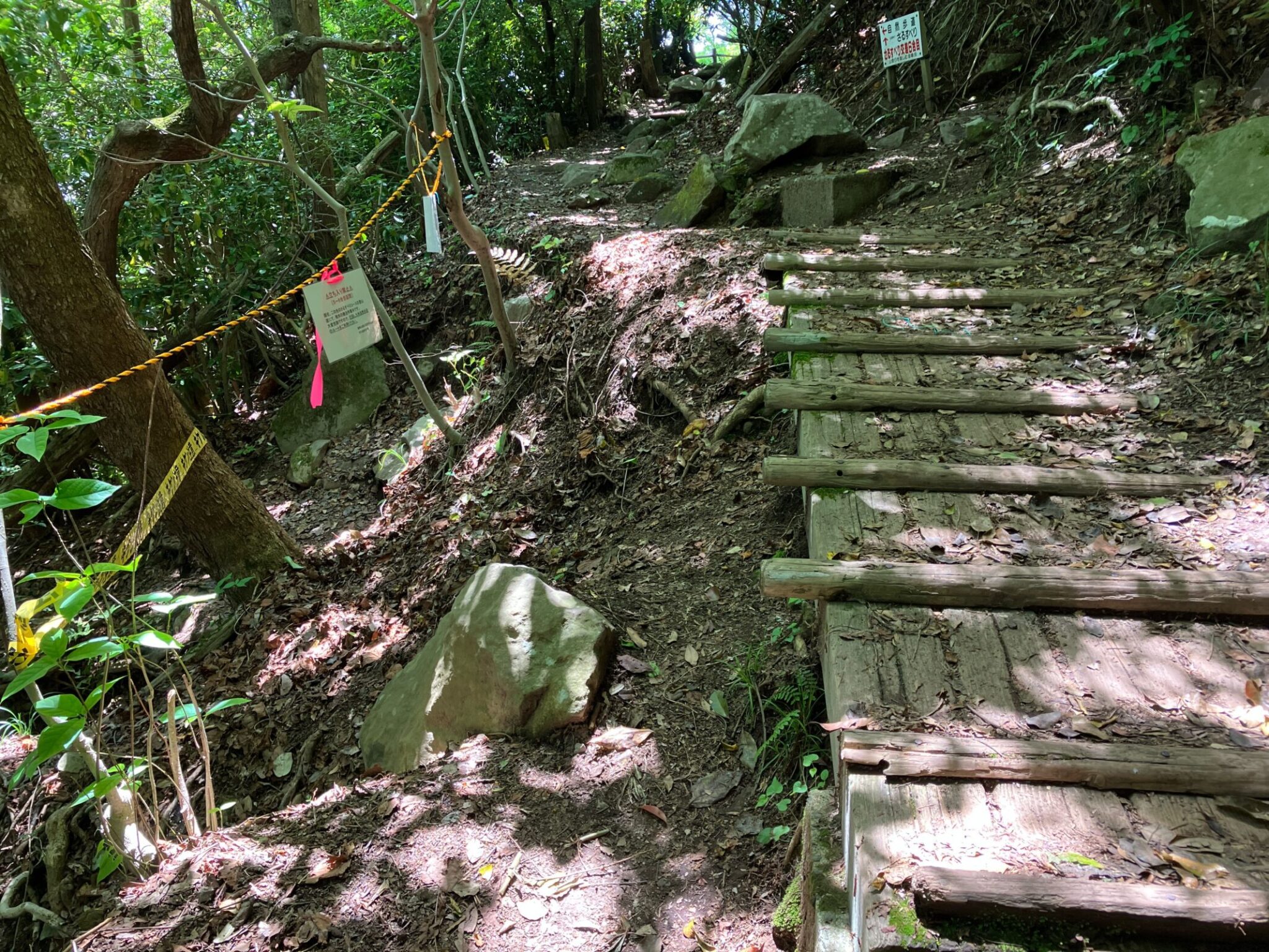 金峰山ハイキング|自然歩道コースの歩き方・駐車場・ヤマガラ体験まとめ【熊本市】 | 九州低山ハイキング