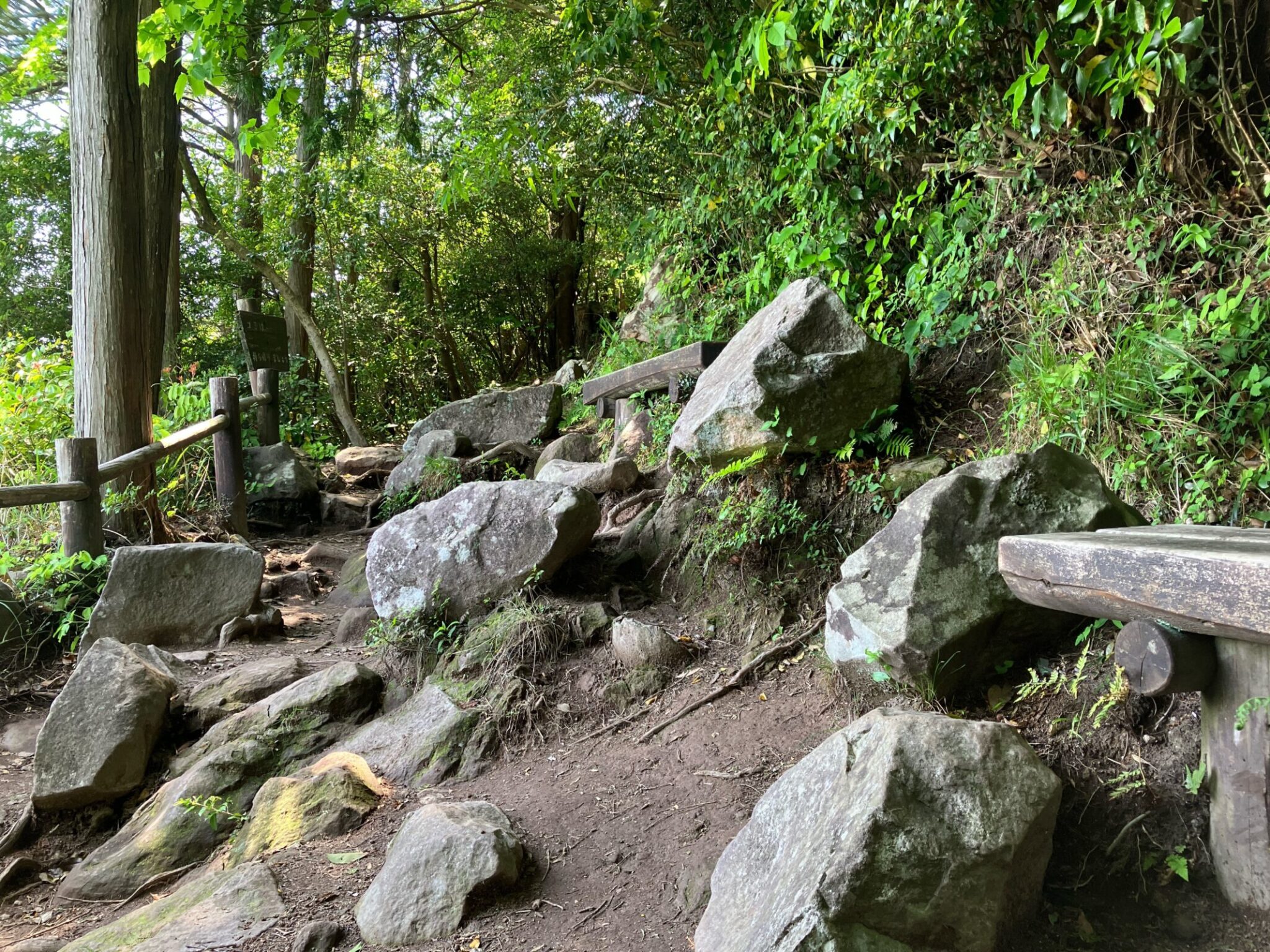 金峰山ハイキング|自然歩道コースの歩き方・駐車場・ヤマガラ体験まとめ【熊本市】 | 九州低山ハイキング