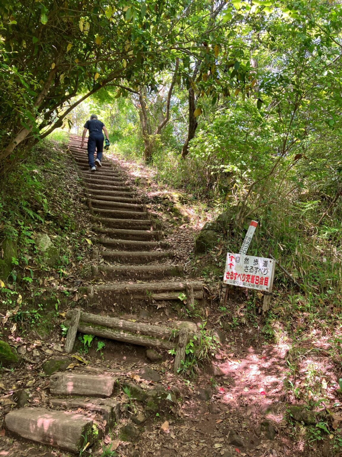 金峰山ハイキング|自然歩道コースの歩き方・駐車場・ヤマガラ体験まとめ【熊本市】 | 九州低山ハイキング