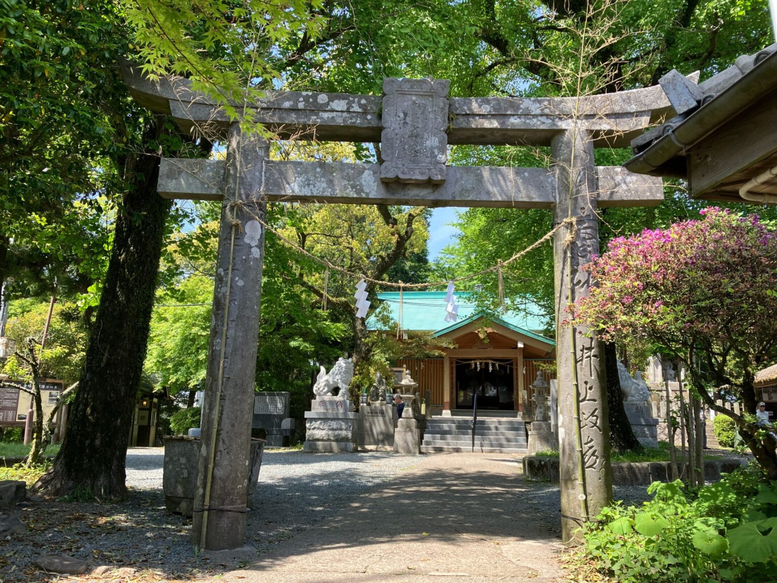 金峰山ハイキング|自然歩道コースの歩き方・駐車場・ヤマガラ体験まとめ【熊本市】 | 九州低山ハイキング