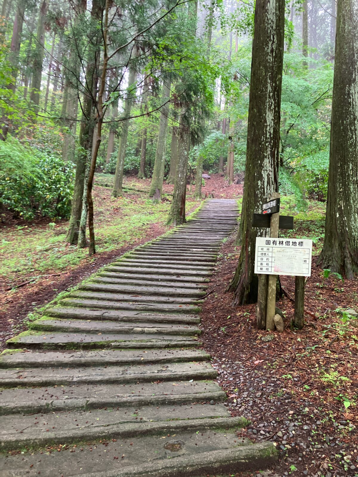 金峰山(熊本)登山ガイド|全ルート・所要時間・駐車場まとめ【初心者OK】 | 九州低山ハイキング