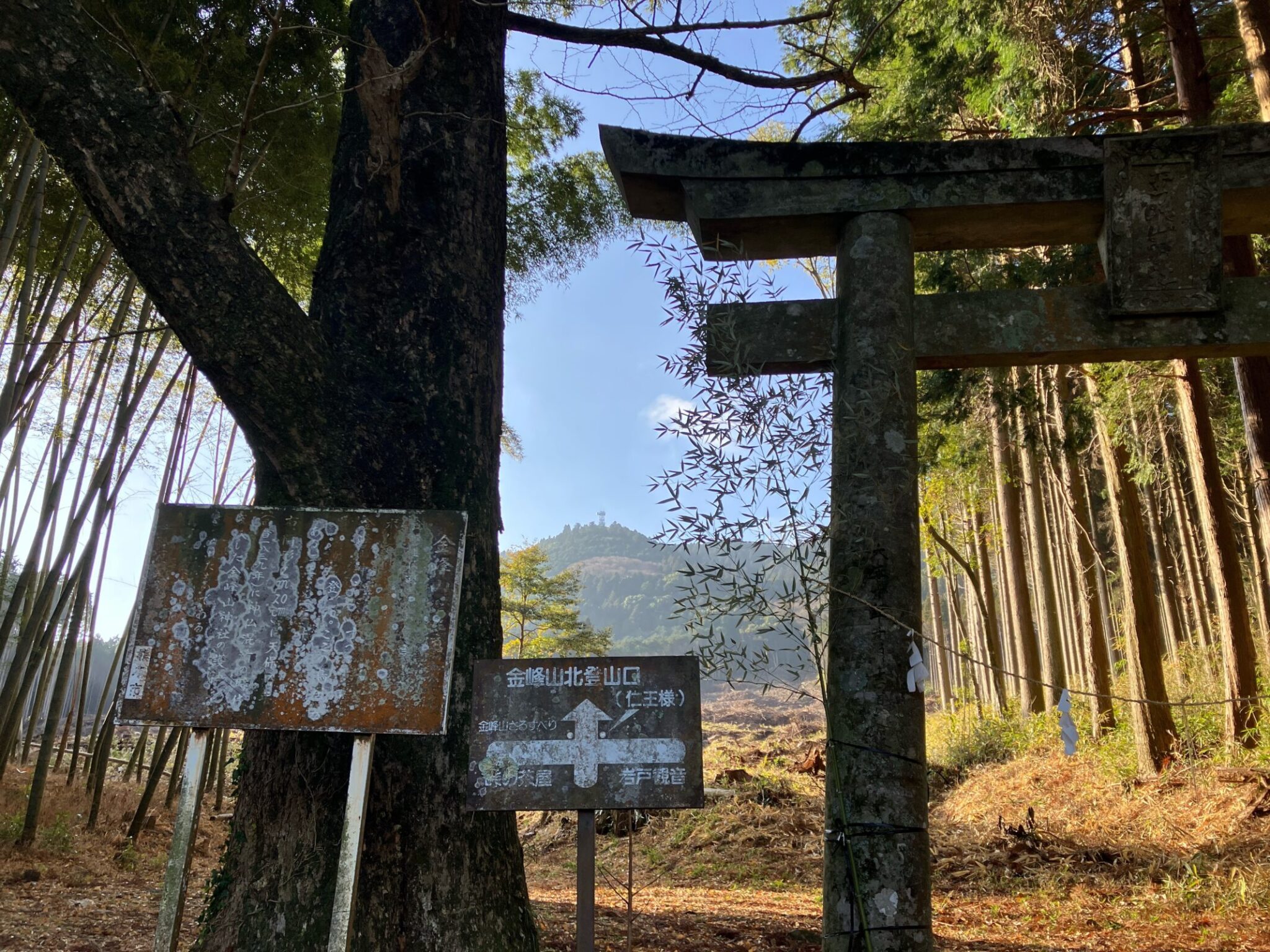 金峰山(熊本)登山ガイド|全ルート・所要時間・駐車場まとめ【初心者OK】 | 九州低山ハイキング
