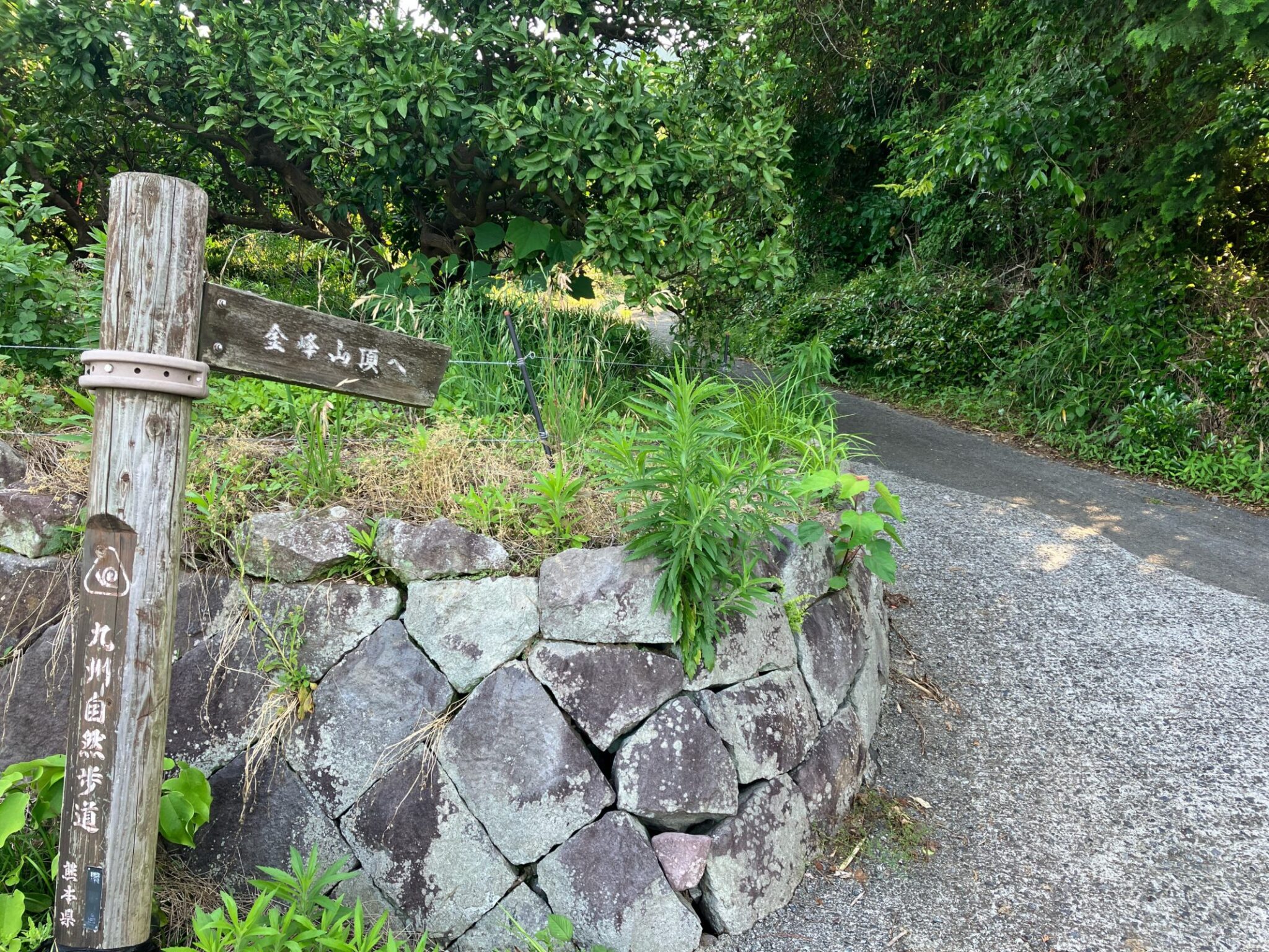 金峰山(熊本)登山ガイド|全ルート・所要時間・駐車場まとめ【初心者OK】 | 九州低山ハイキング