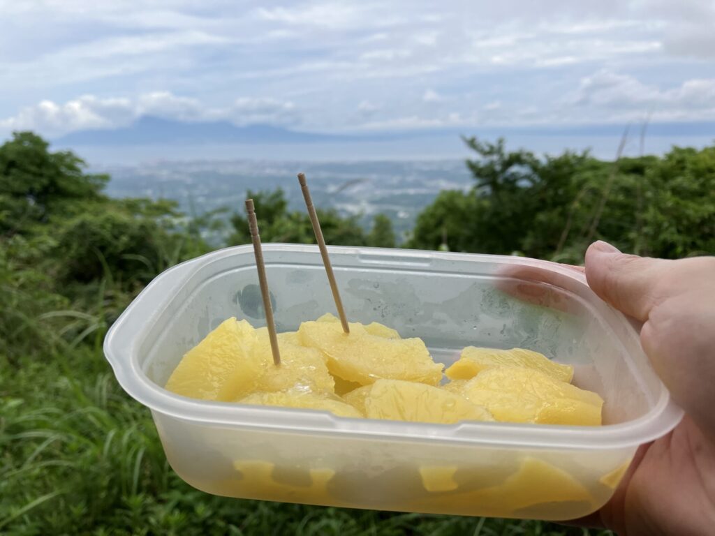 夏の登山に冷えた果物
