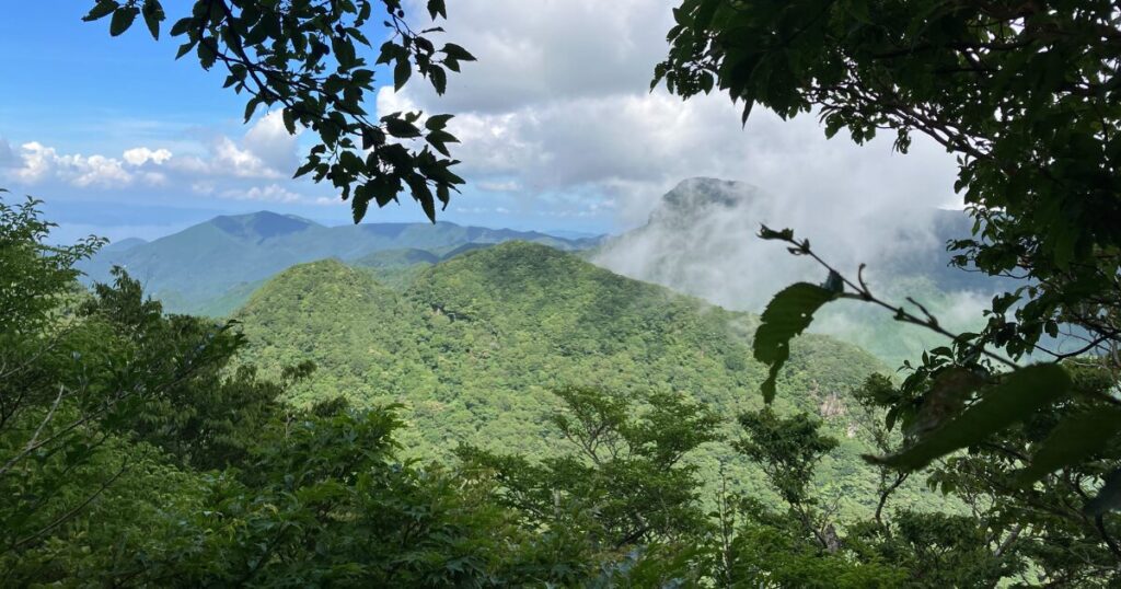 多良岳山頂　熱い夏に木陰から山を眺める