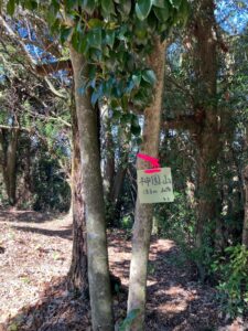 神園山 山頂 熊本市