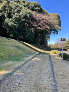 熊本県民総合運動公園B駐車場
熊本市