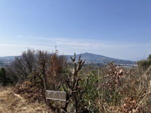 岩野山山頂　熊本市北区植木町　