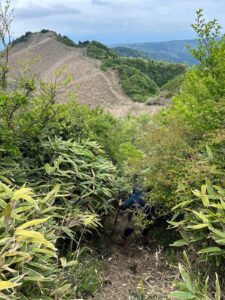 宮地嶽山頂手前　熊本県阿蘇郡高森町