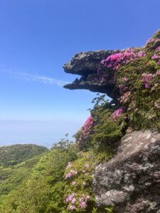 ゴジラ岩　雲仙普賢岳　普賢岳山頂　長崎