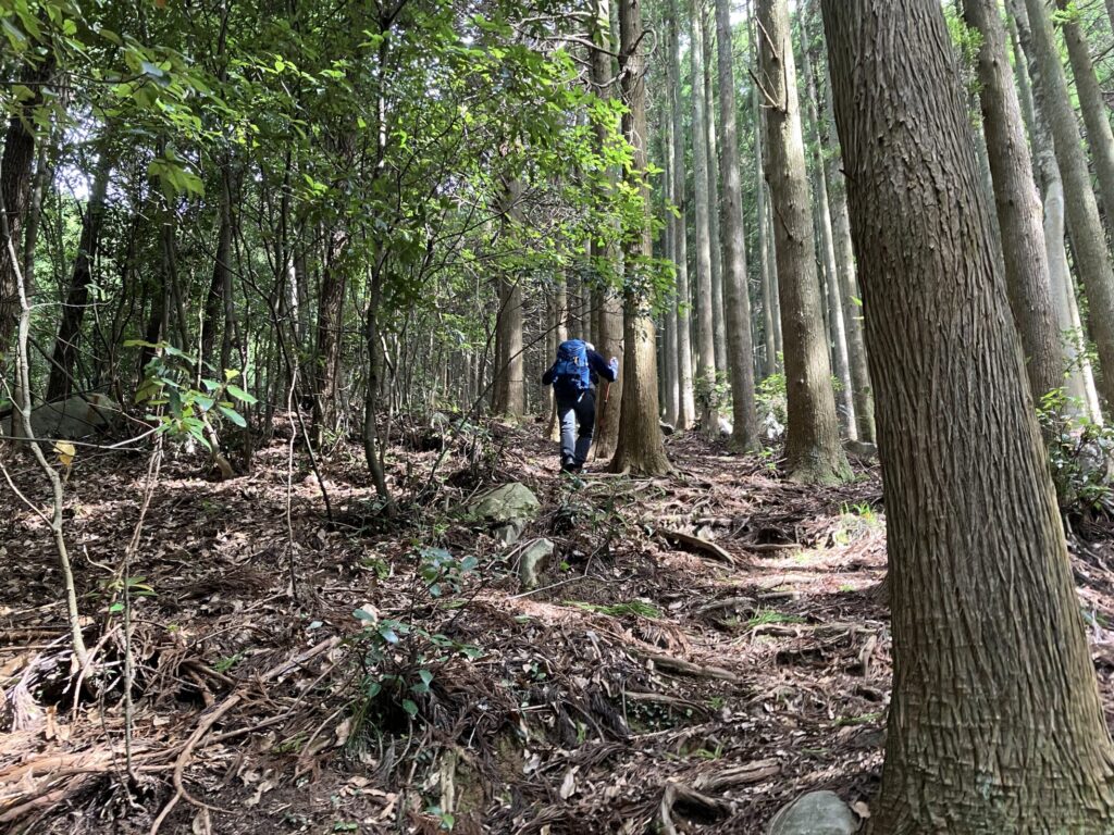 甲佐岳 熊本県