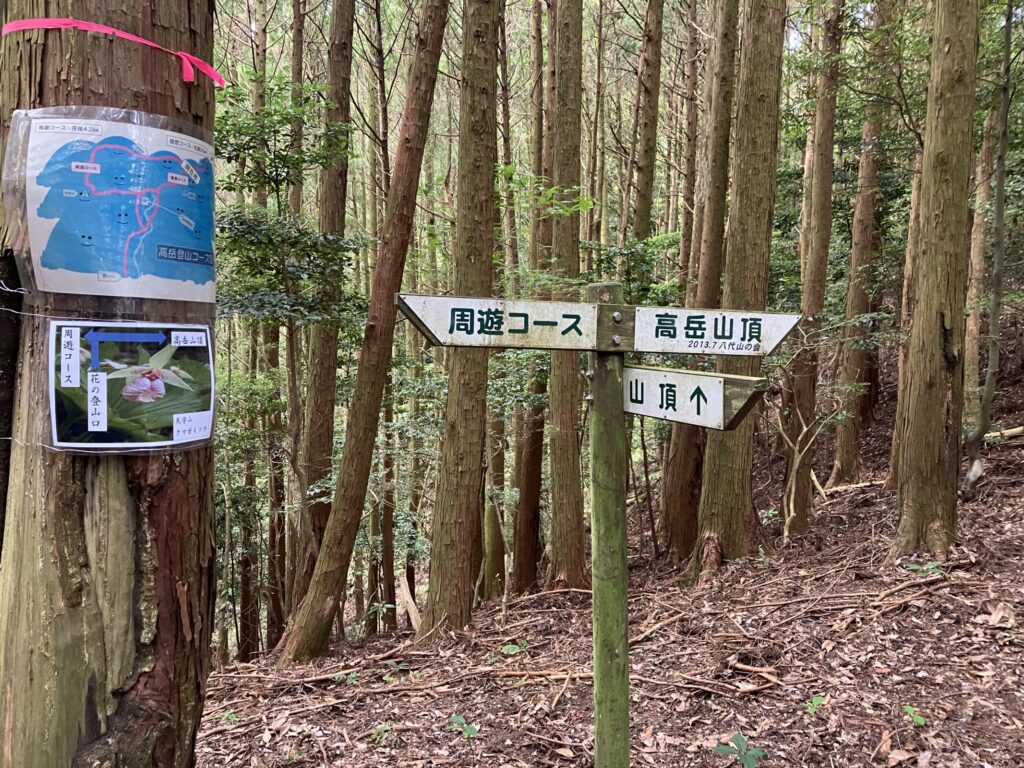 「周遊コース」「高岳山頂」と書かれた分岐の案内看板