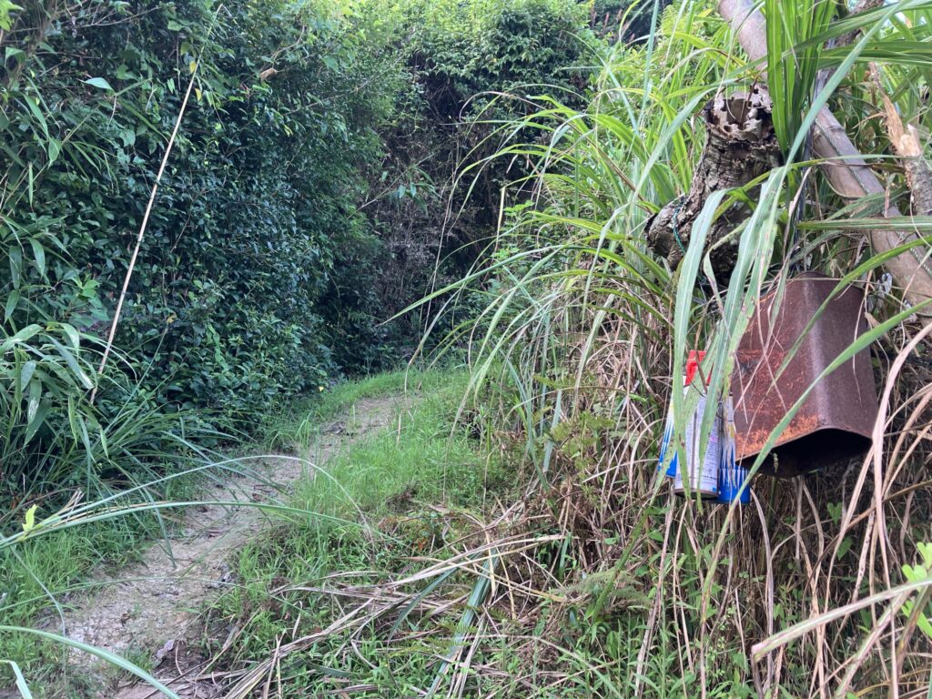 登山道の木にぶら下げられた殺虫剤のスプレー缶