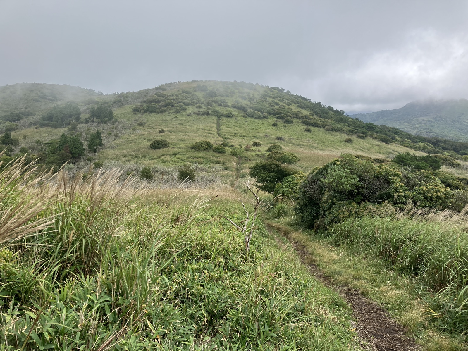 すすきの中を下る登山道