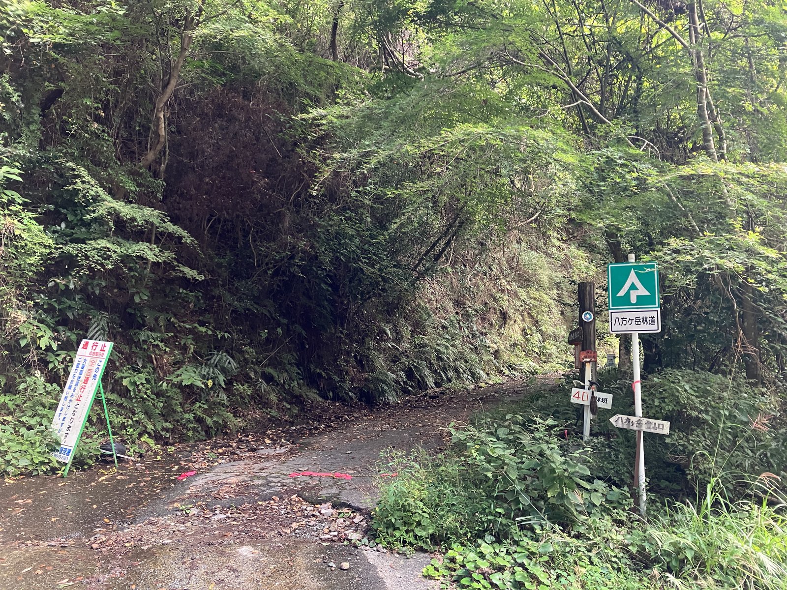 車道から登山道へ入る入口と標識
