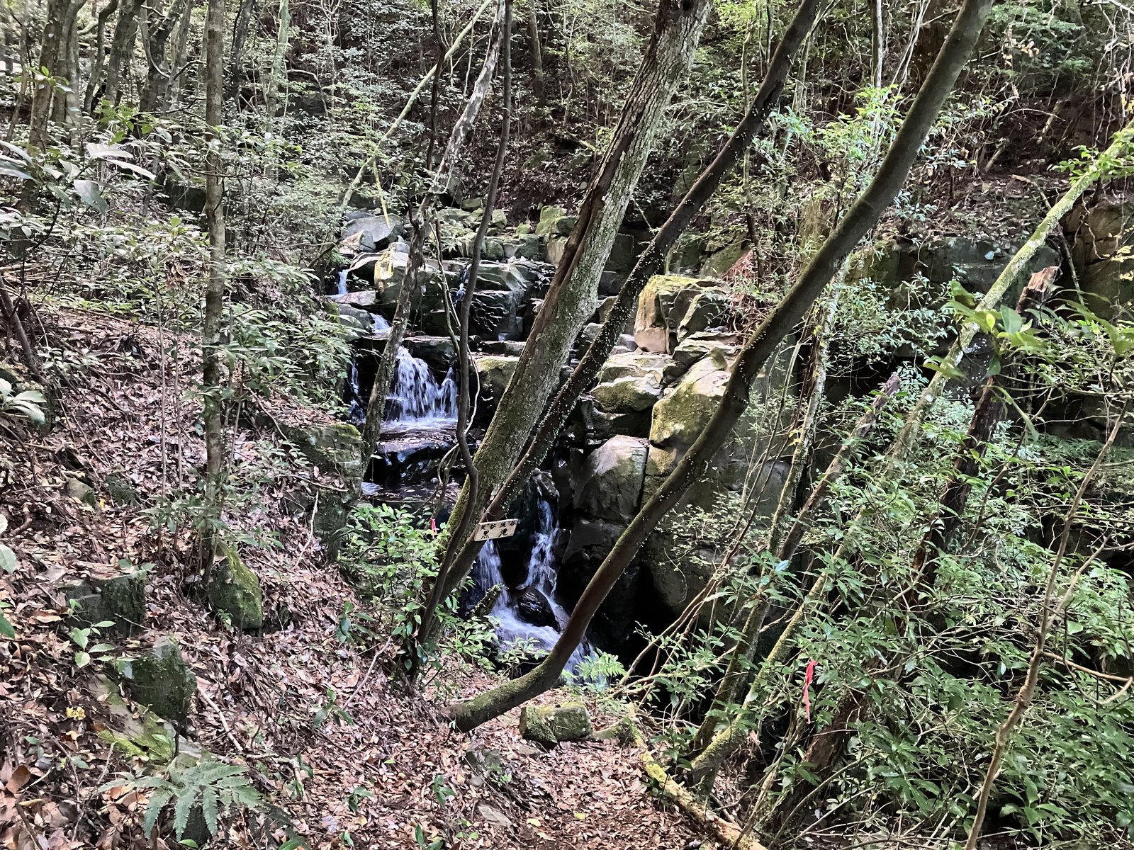 岩の間を流れ落ちる黒滝