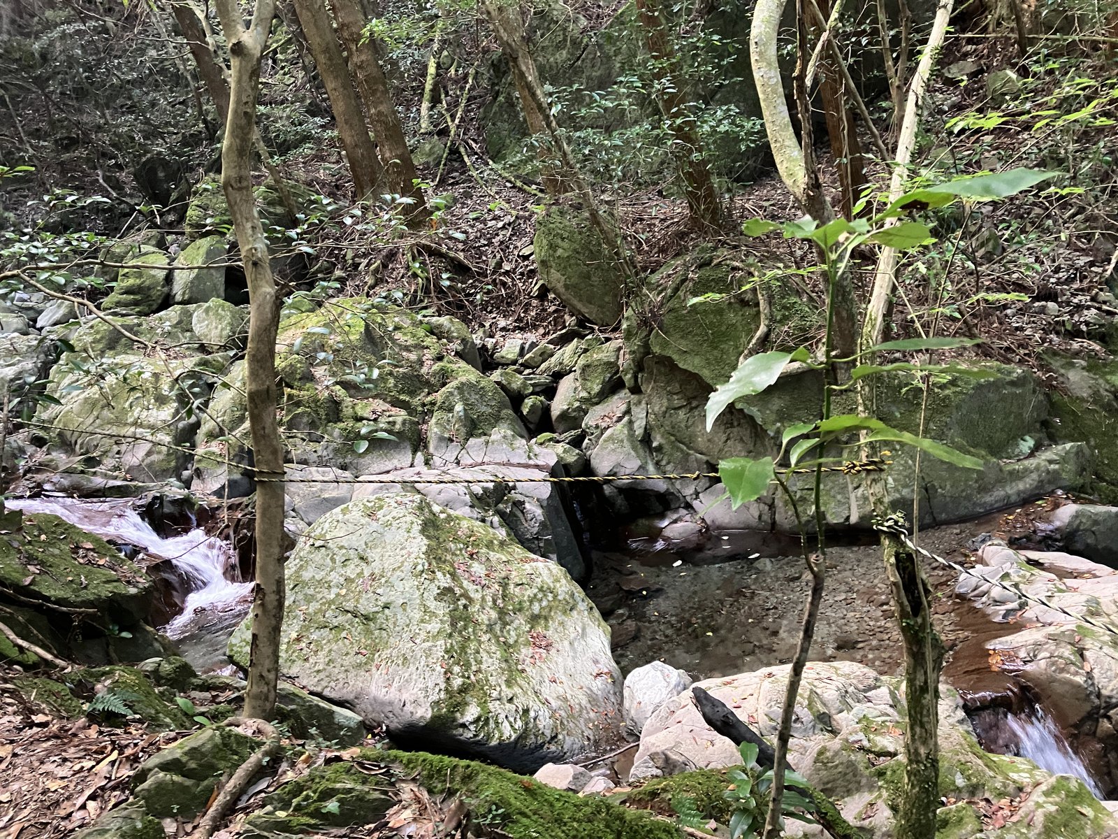 岩がゴロゴロした沢沿いの登山道