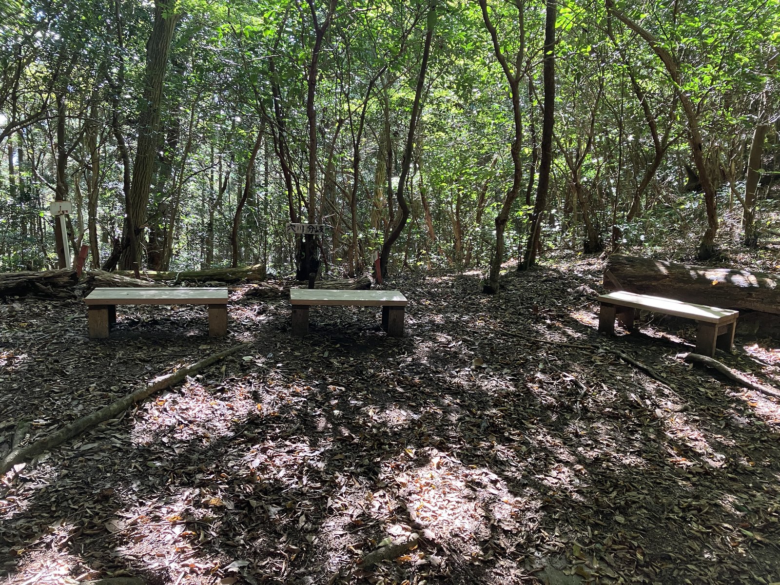 穴川分岐の休憩用ベンチ