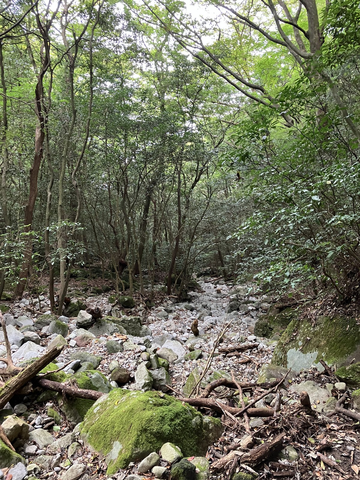 水のない沢の岩がゴロゴロした下山道