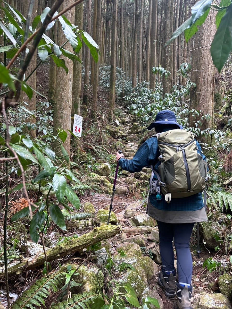 タイツと長袖シャツで1月の山道を登る後ろ姿